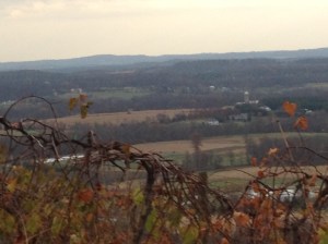 bluemont view