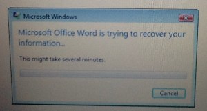word error msg 2