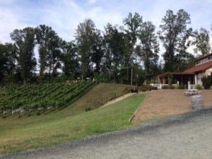 Humidor Hill - road view