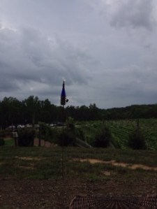 view from Humidor Hill